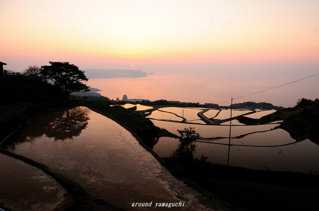 油谷棚田01.jpg