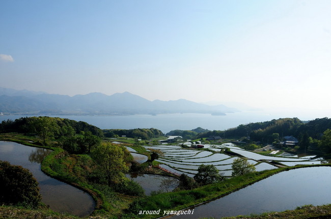 油谷棚田05.jpg