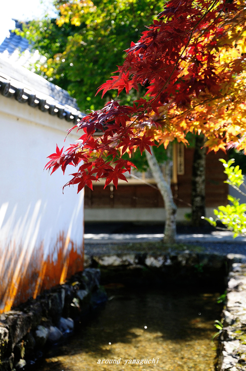 漢陽寺05.jpg