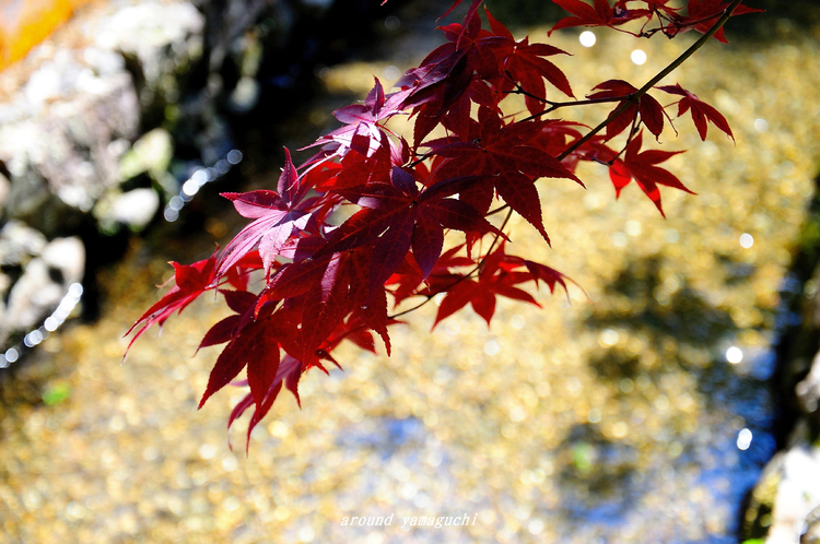 漢陽寺06.jpg
