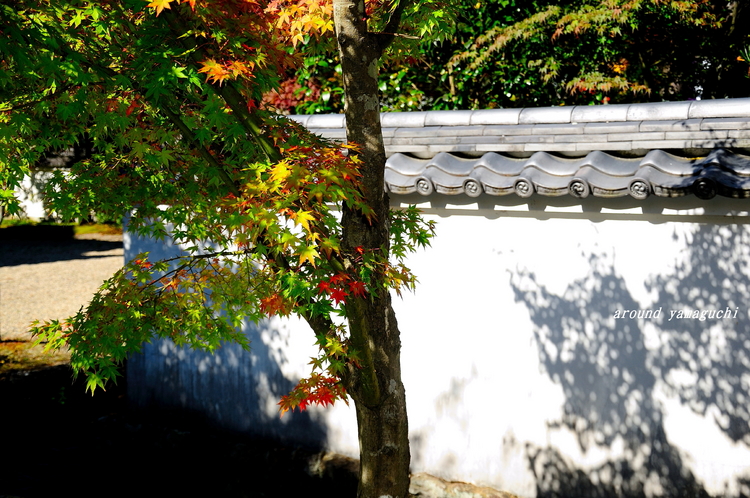 漢陽寺09.jpg