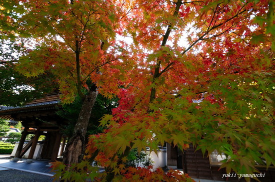 漢陽寺1101-01.jpg