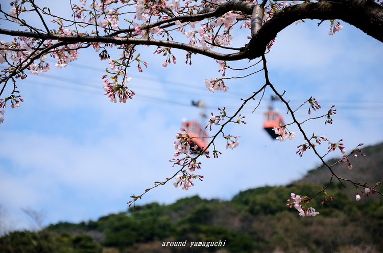 火の山03.jpg