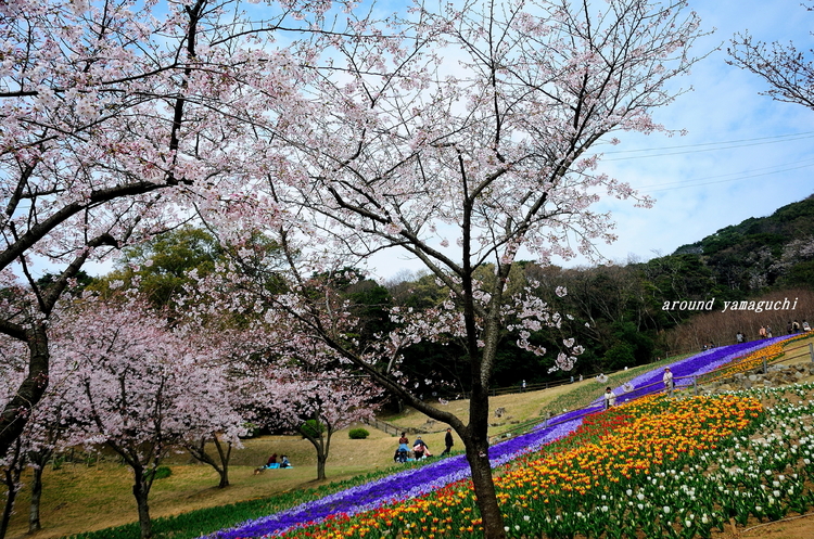 火の山10.jpg
