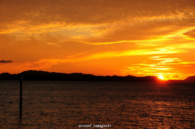 焼野夕景07.jpg