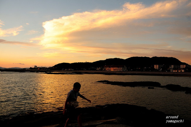 焼野夕景10.jpg