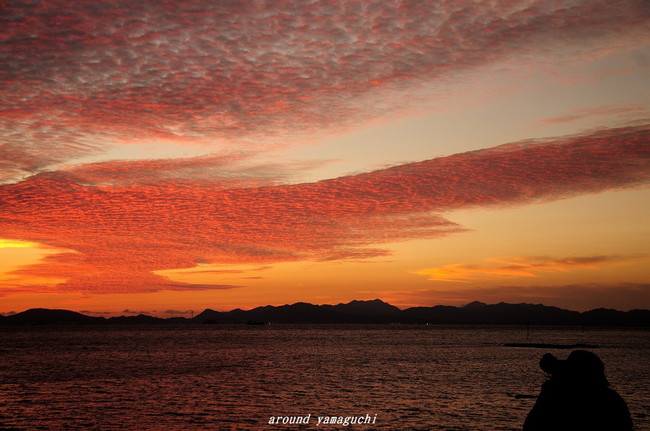 焼野夕景16.jpg