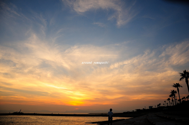 焼野海岸02.jpg