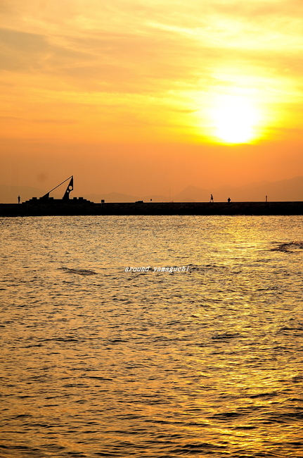 焼野海岸03.jpg