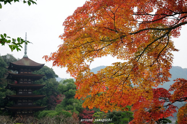瑠璃光寺01.jpg
