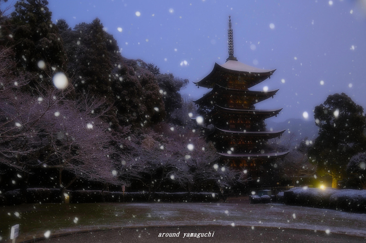 瑠璃光寺11.jpg