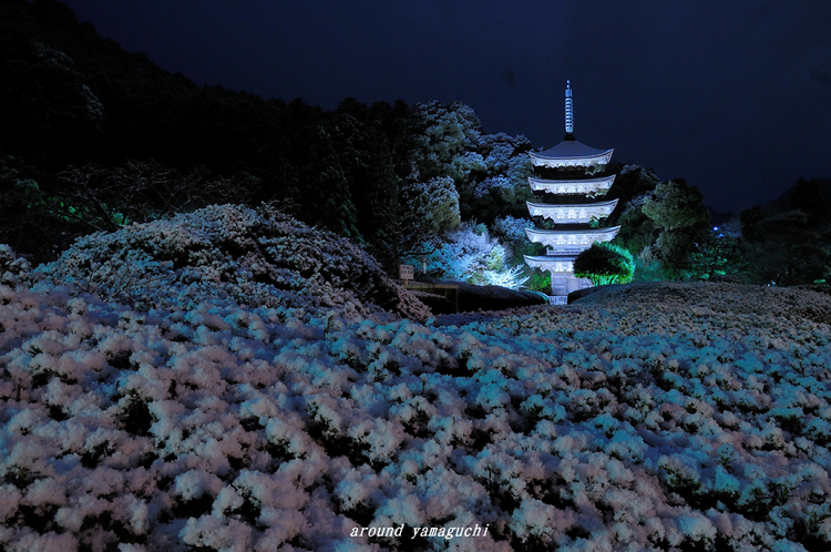 瑠璃光寺16.jpg
