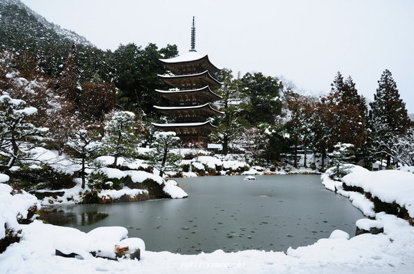 瑠璃光寺雪景色07.jpg