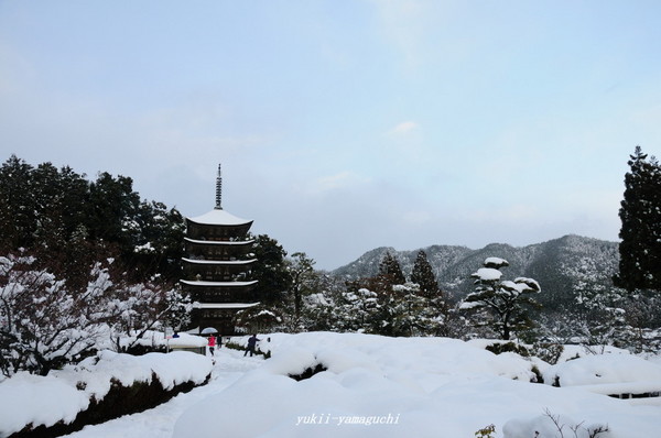 瑠璃光寺雪景色10.jpg