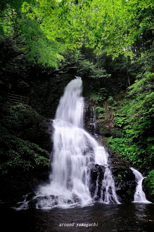 白糸の滝00.jpg