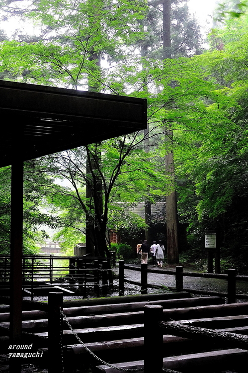 白糸の滝10.jpg