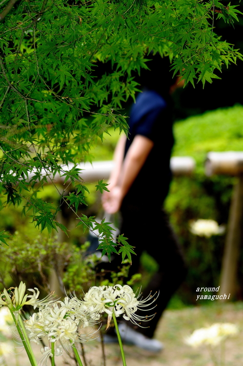 白野江07.jpg