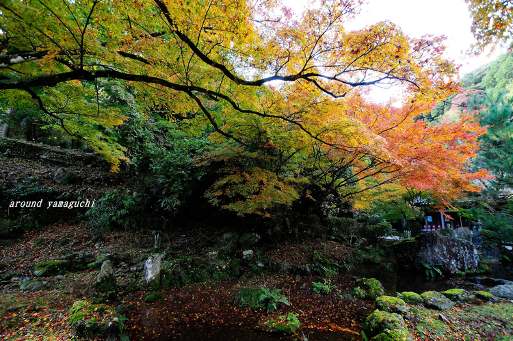 神上寺00.jpg