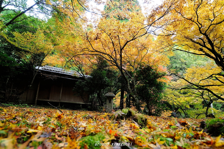 神上寺01.jpg