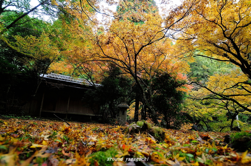 神上寺01.jpg