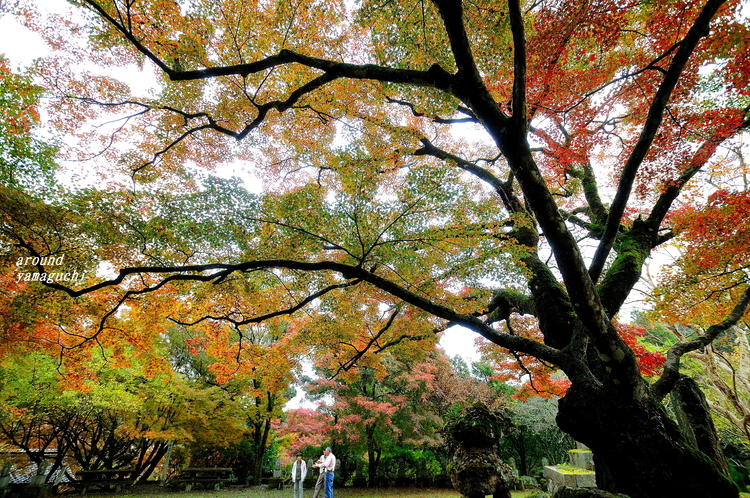 神上寺02.jpg