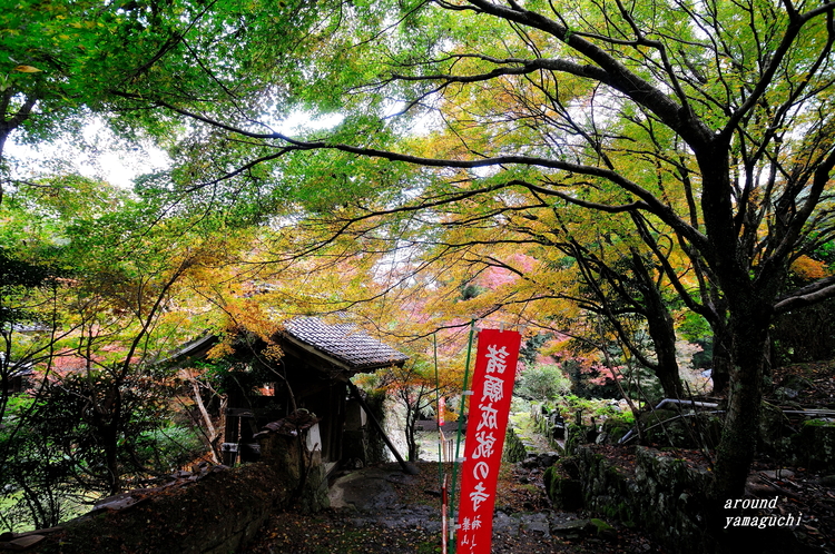 神上寺03.jpg