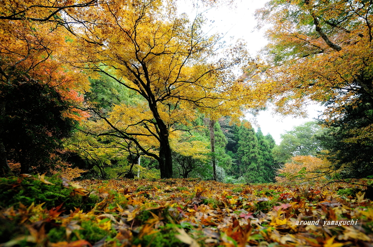 神上寺05.jpg