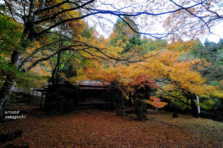 神上寺05.jpg