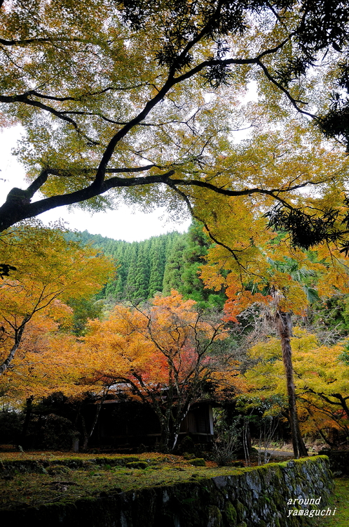 神上寺06.jpg