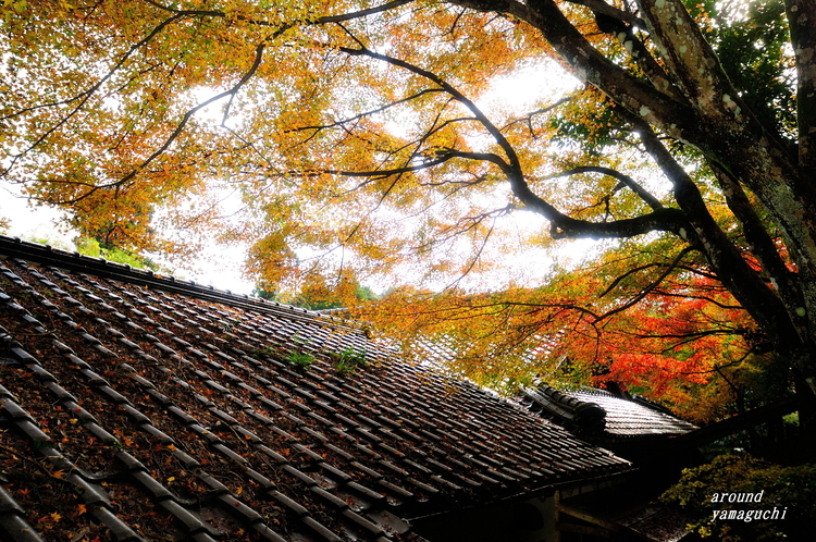 神上寺07.jpg