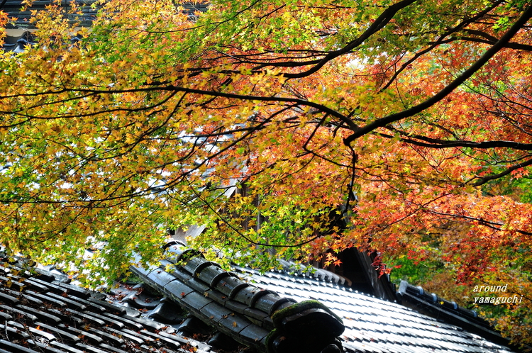 神上寺08.jpg
