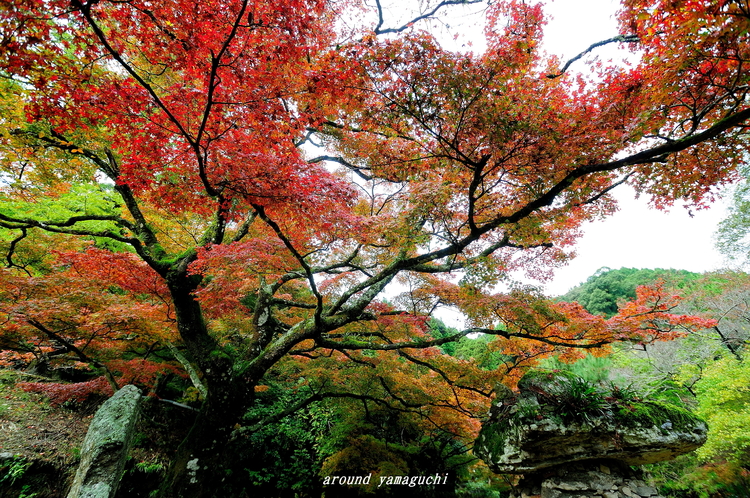 神上寺09.jpg