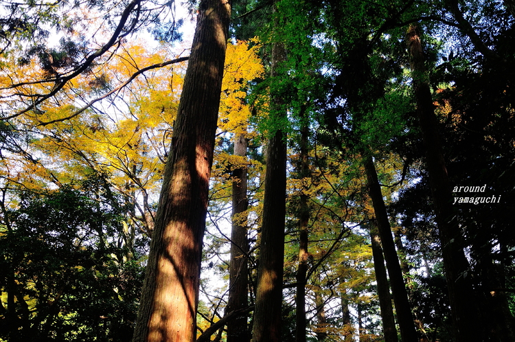神上寺11.jpg