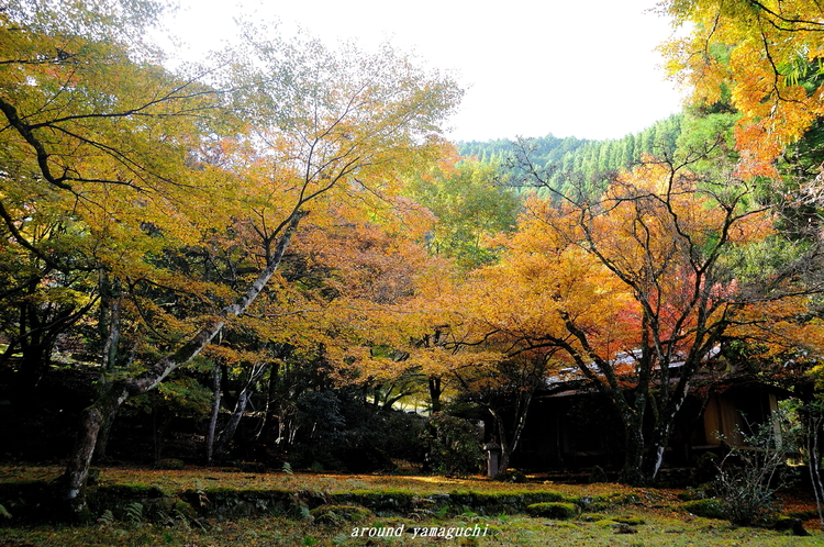 神上寺19.jpg