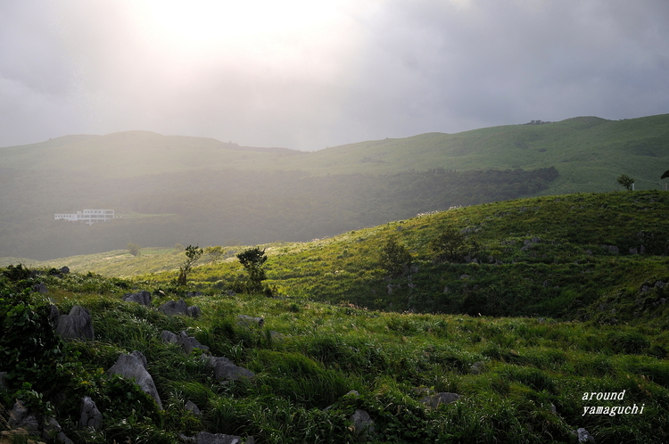 秋吉台07.jpg