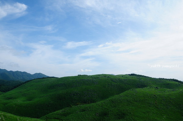 秋吉台7月01.jpg