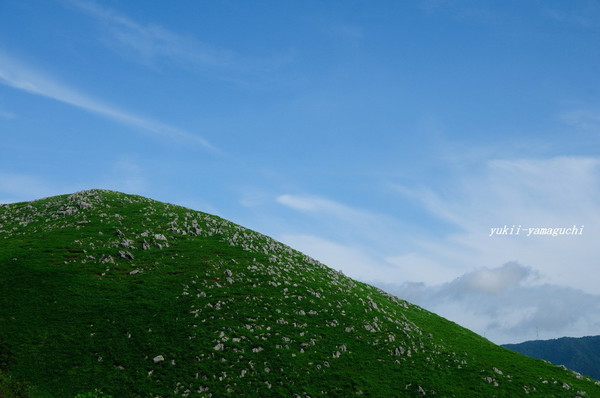 秋吉台7月03.jpg
