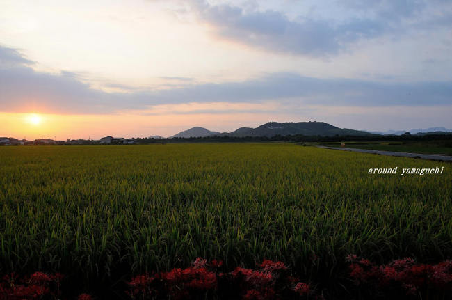 秋穂夕景01.jpg