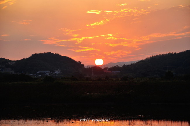 自然観察公園03.jpg
