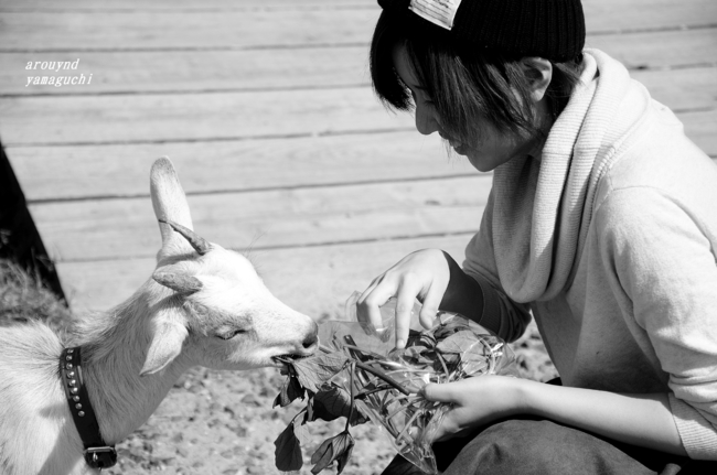 花の海03.jpg