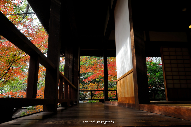 芳松庵02.jpg