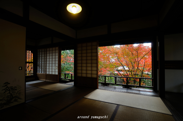 芳松庵03.jpg