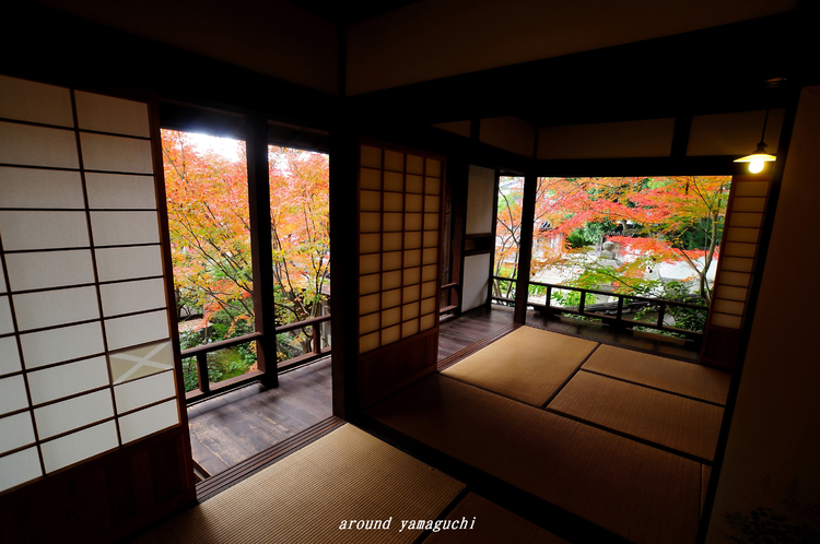 芳松庵04.jpg