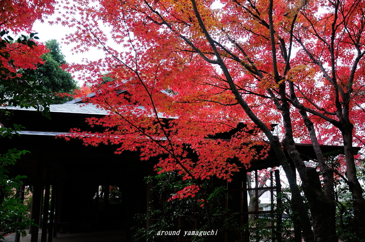 芳松庵06.jpg