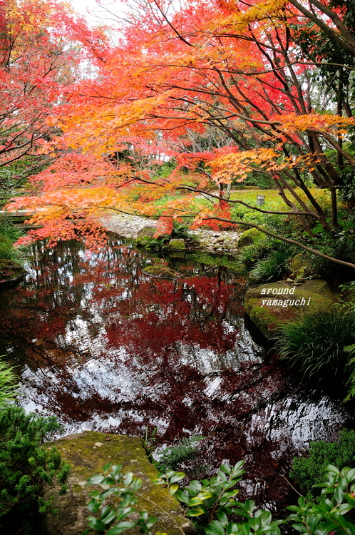 芳松庵07.jpg