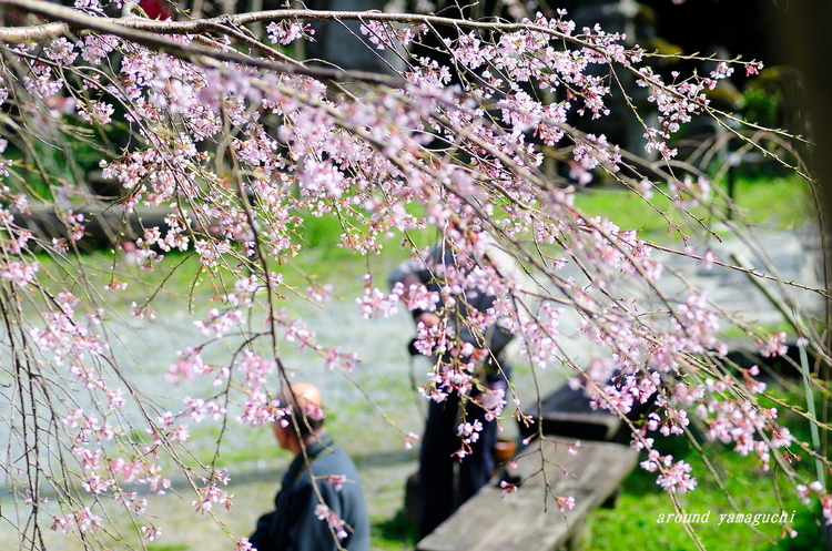 萩・南明寺08.jpg