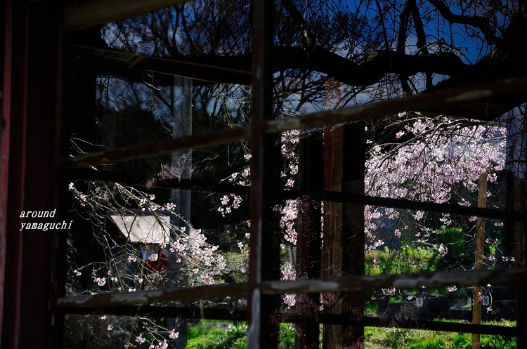 萩・南明寺13.jpg