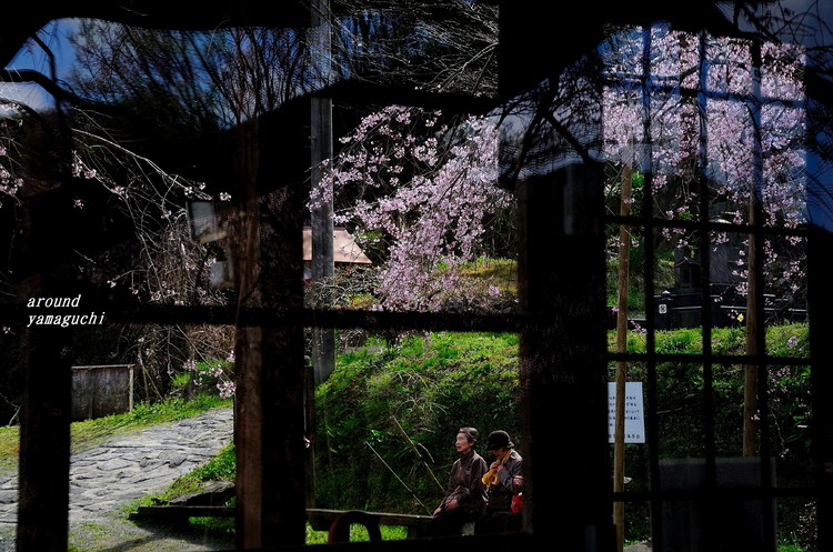 萩・南明寺14.jpg