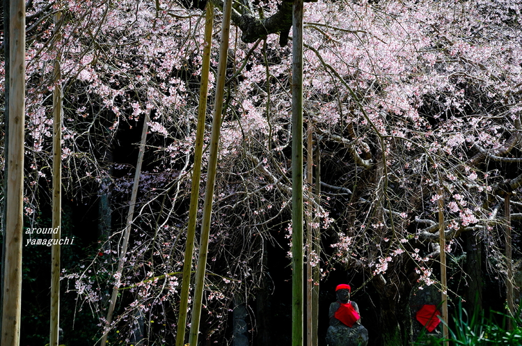 萩・南明寺17.jpg