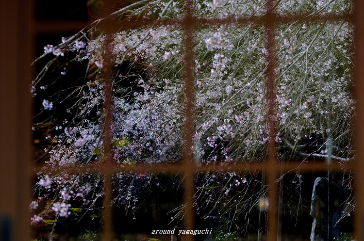 萩・南明寺18.jpg